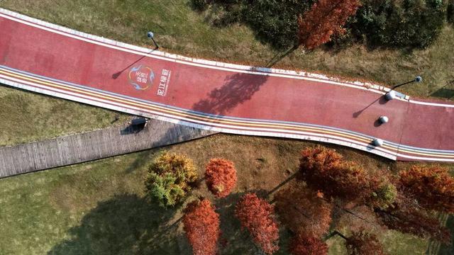 冬日暖阳下的“小美满”，藏在金堂这片草坪上！