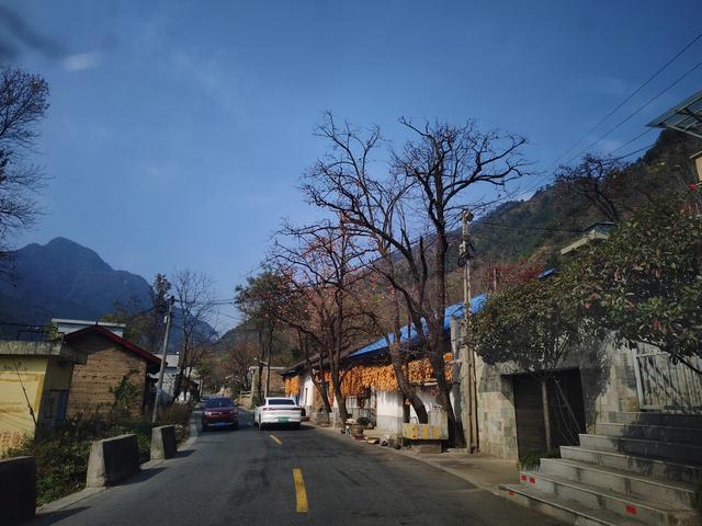 南行漫记：从卢氏走陕西S101红叶大道到南五台服务区露营