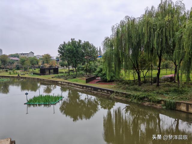 云梦生态浮岛的三重奏