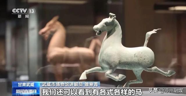 冬春游优惠来袭 宝藏城市甘肃武威“卷”起来了！