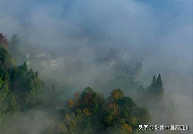 四川雅安：碧峰峡风光旖旎引客来