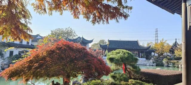 寻美薛城丨谁还没去？薛城小江南留园山庄这片初冬美景秘境藏不住了，速来打卡！