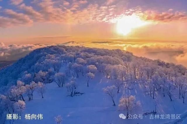 告别金秋，邂逅龙湾初冬！赏雪、观雾凇攻略，这两处景区别错过~