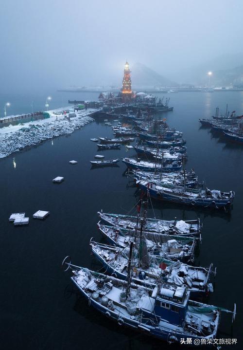 雪落大连，一场山海的冬日盛宴