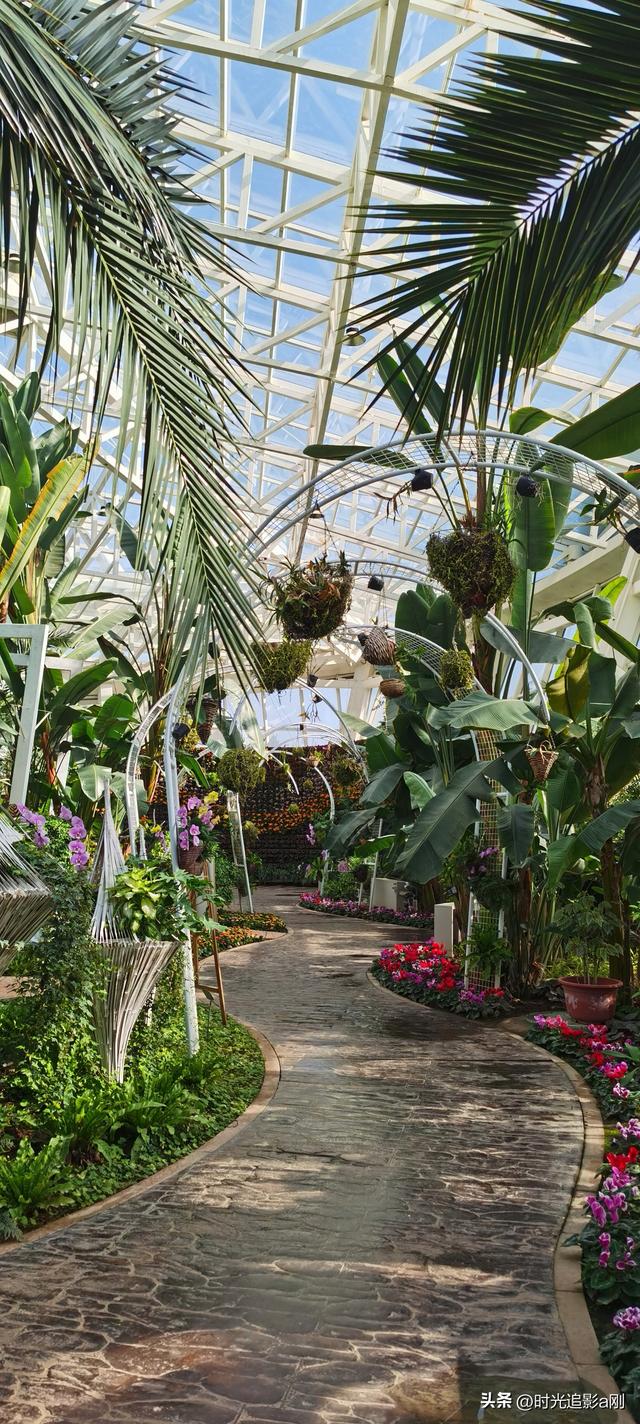 玻璃穹顶下的生活诗意！