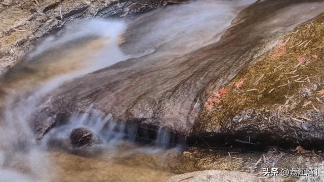 蓝山谷记：与十万株红枫的相遇