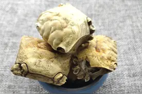 螃蟹壳：被忽视的抗癌法宝，竟有这些神奇的功效图片