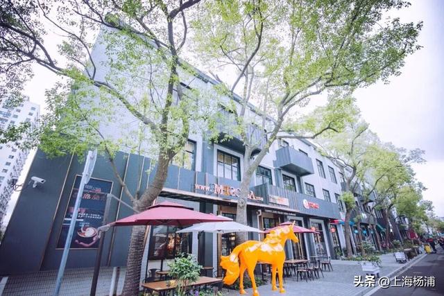 杨浦3处上榜！这些“家门口的好去处”，你打卡了吗？