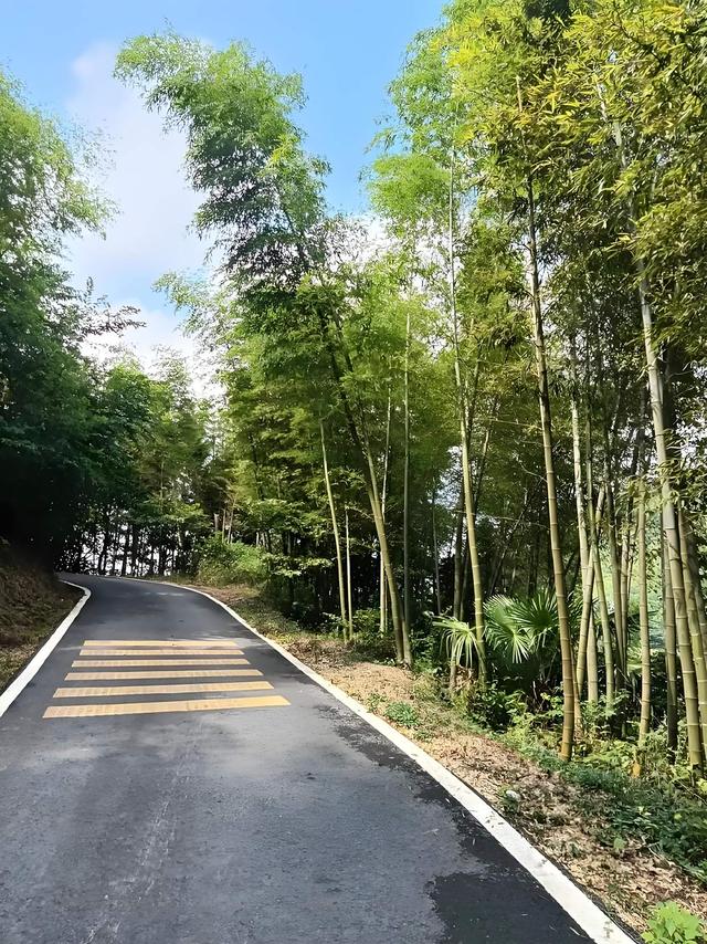 夜宿崇阳金沙岭（散文）