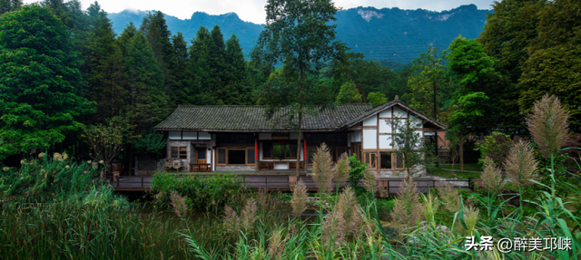 天台后山·山野萤光音乐季活动即将启幕，邀你共赴一场美好的旅程