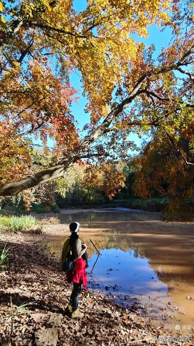 秋染浙西,邂逅烂柯仙境的绝美风光!
