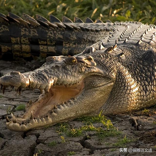 从北极万年游牧荒野，到赤道海洋湖泊群，42处世界双遗产极境之美