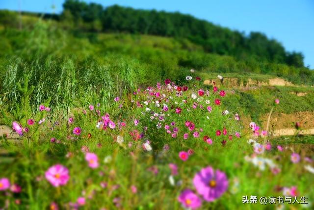 【人文】静宁一瞥