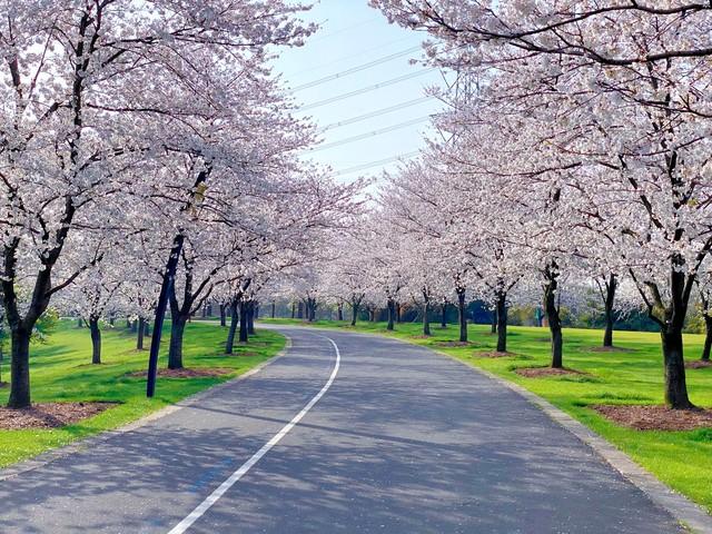 聪明的女人，发现男人不爱自己时，会这样处理