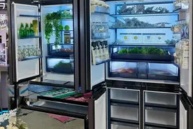 内行人买冰箱是选海尔还是容声？两大品牌都在卷，口碑榜型号揭晓图片