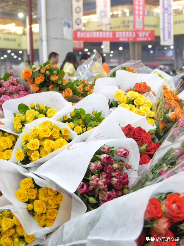 假期最后一天，留给斗南！好吗？把新年浪漫打包回家！