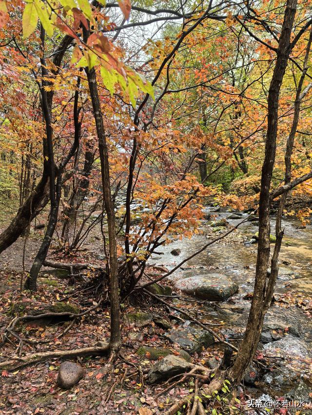 2025辽宁赏秋之旅日记(3)——游览洋湖沟和老边沟