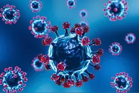 病毒的“克星”被发现了，冬天经常吃，杀菌抗病毒、提高免疫力！图片