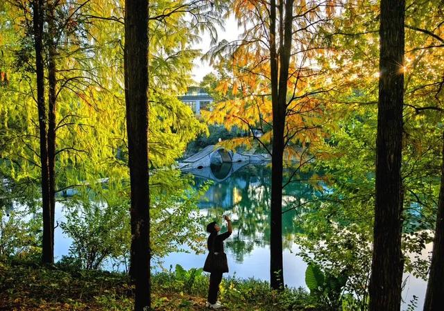 封神级美景！初冬的桂林，宛如上帝打翻的调色盘