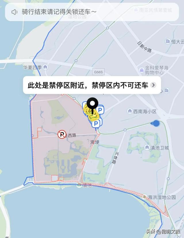 昆明人私藏观鸥地图+观杏！滴滴6折立减35元打车券直接薅