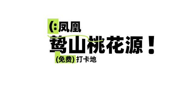 免费！景美！张家港这3处绝美打卡地藏不住了！