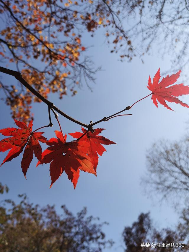 据我实际体验，冬天不宜自驾游