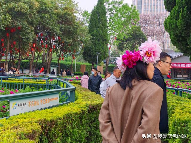 逛菏泽天香公园，这里牡丹很吸引游客，关键是二十四小时免费参观