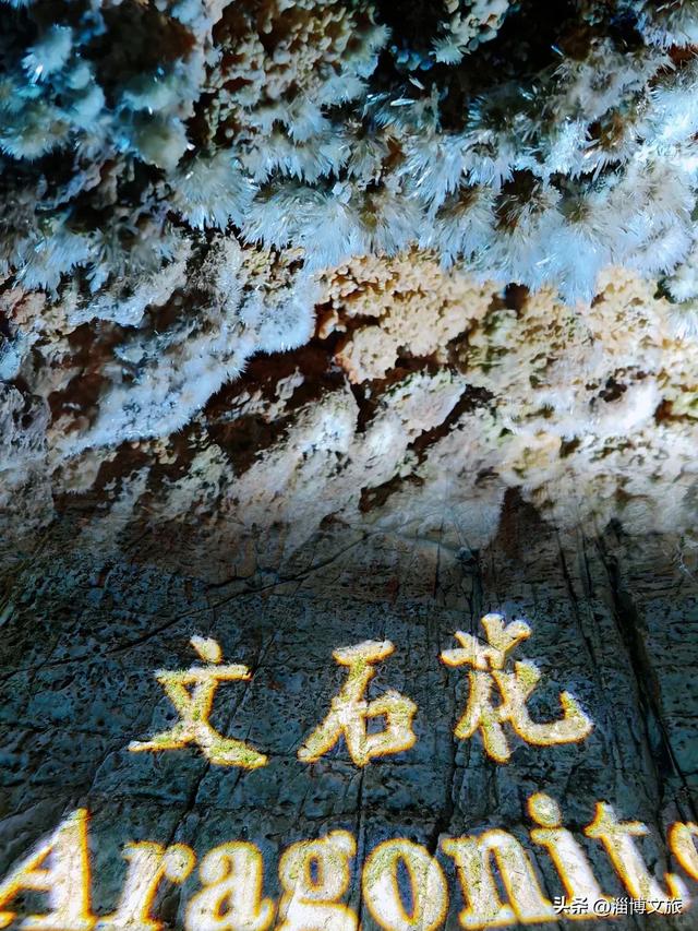 一年中最热的时期来了!快躲进18℃的『天然大空调』避暑吧!