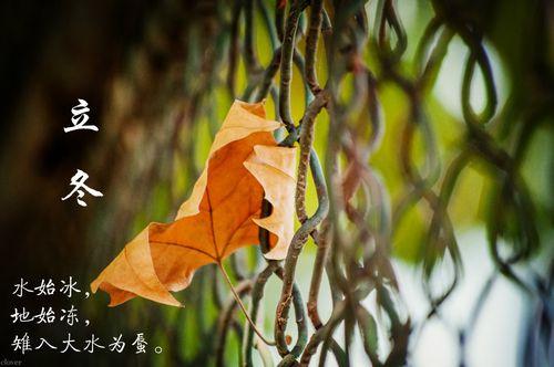 “白天立冬，暖烘烘；晚上立冬，冻死牛”，今年立冬是几点？