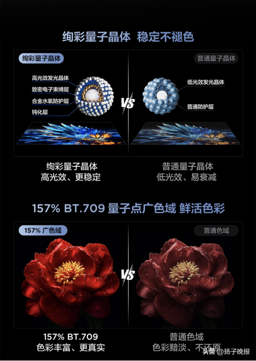 TCL V89L Pro：平价高配之选，控光再升级铸就同级最强画质