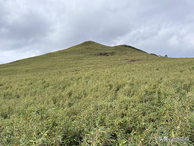 北京自驾长江三峡、神农架之旅（6）