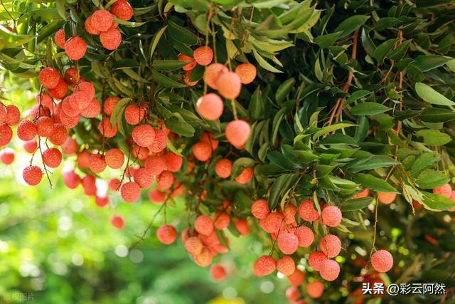 今夏最热两天登场！新一轮降水范围已确定，明后天7月16~17号天气