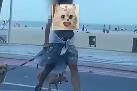 巴西女模特上身赤裸遛狗，呼吁男女平权！网民：真是利好男性主义图片