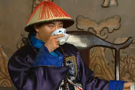 《雍正王朝》：谁跨级提拔最快？李卫进不了前三，张五哥只排第二图片