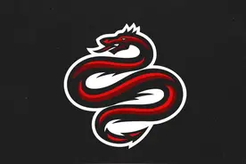 logos：龙蟠虎绕！一组怒气值拉满的神龙元素标志设计分享图片