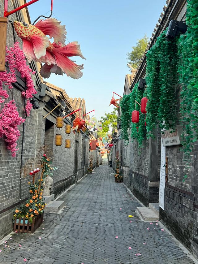 邂逅杨柳青