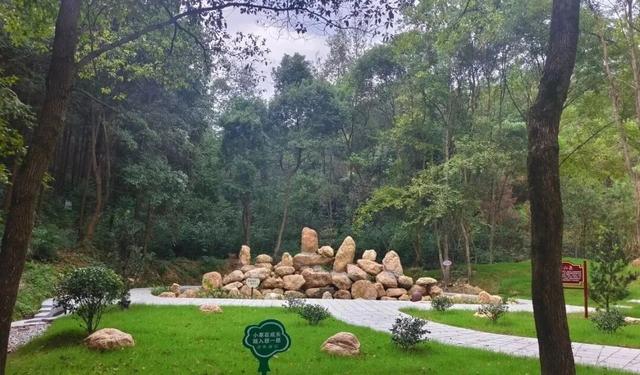 长乐庵景区滨水露营休闲暨第四届文化旅游节盛大开启！