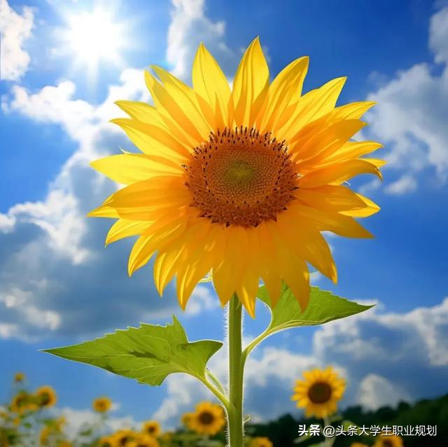 一条《寻晒友启事》惊动四方	，令我一周哭笑不得