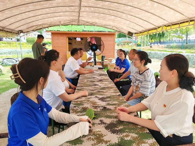 汉阴县双乳镇集镇社区人大代表联络站 | 考察荷塘景韵 建言发展新篇