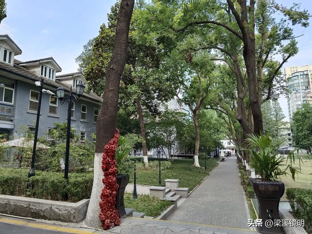 南京金陵神学院新貌