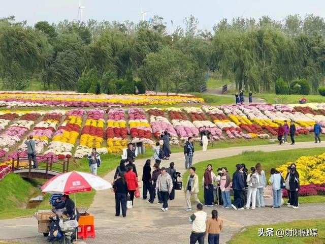 看完这朵看那朵🤩
