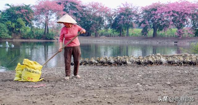 这个鲜花盛开的地方，去过的人都说好！