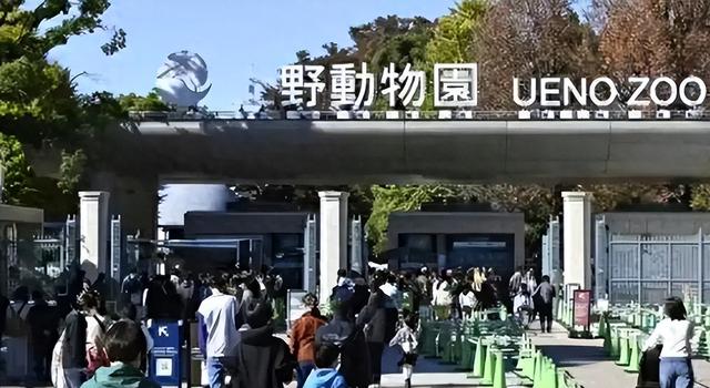 中国再出手！下令直接收回	，日本迎来历史性告别，高市后悔来不及