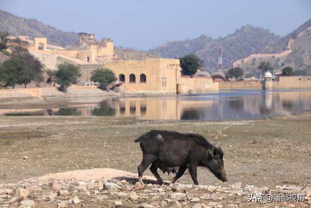 印度记忆：2011年的印度旅行照一组