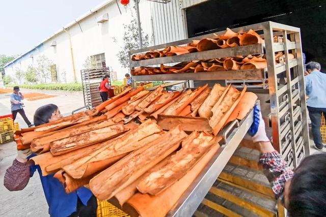肇庆的“悦禄小双”西江沿岸精品示范带，是一条什么带？