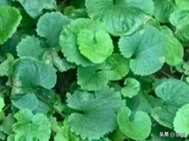 两性关系:在爱情里,最伤人的是“不被理解”