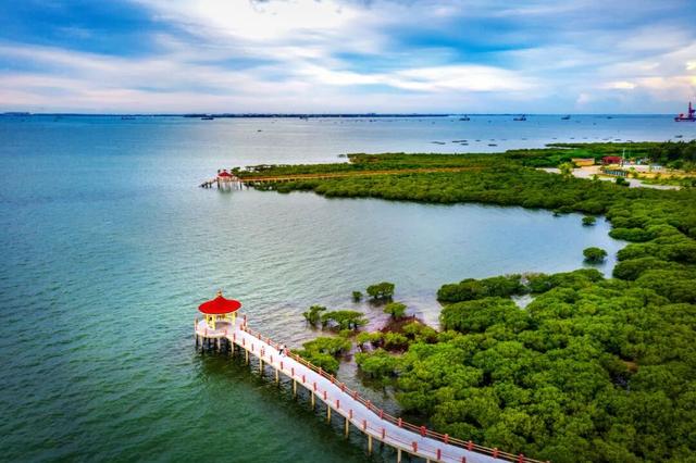 追海豚、赏海景、吃美食…湛江手信冰箱贴带您「玩转湛江」！