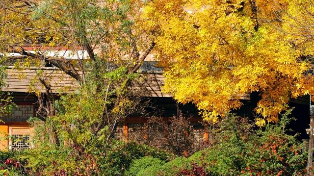 什么？日照这里有一群“小精灵”？！