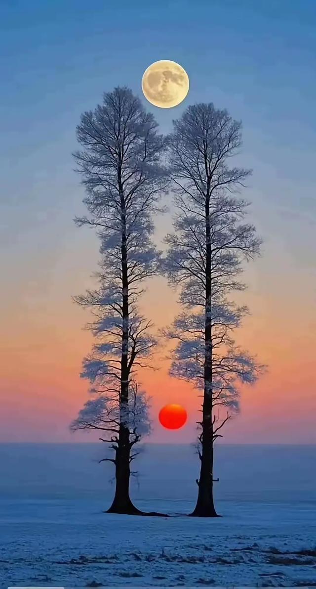 最有意境的壁纸美图