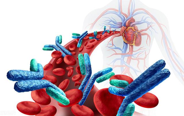 瑞金医院专家揭秘：查出甲状腺抗体高别慌！3招教你科学自救